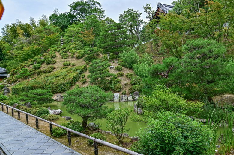 京都市區紫陽花名所採點介紹-藤森神社與智積院