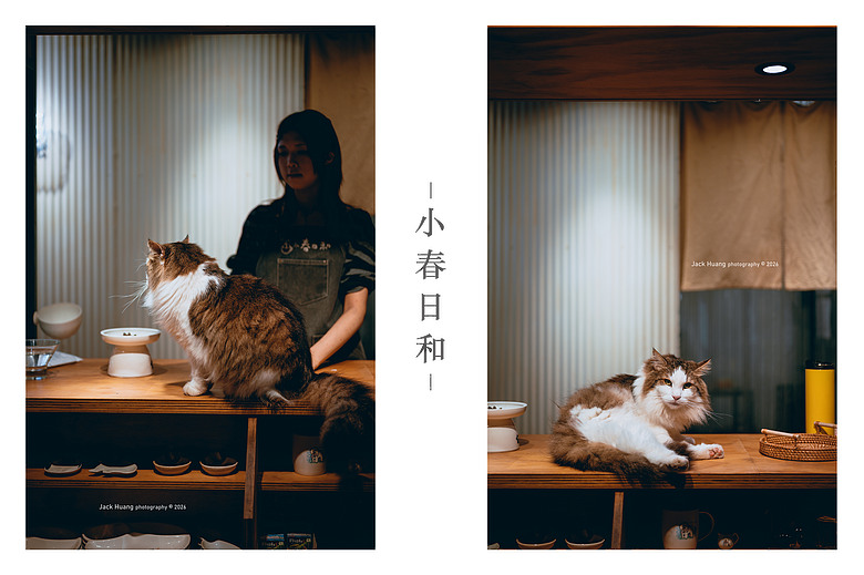 點我看大圖 走進綠意的台北慢時光 - 與貓咪的午後約會丨民生社區