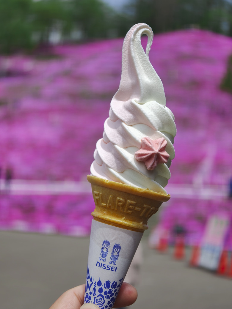 點我看大圖 日本-北海道 五月賞芝櫻&鬱金香 |東藻琴芝櫻|瀧上公園|上湧別町鬱金香