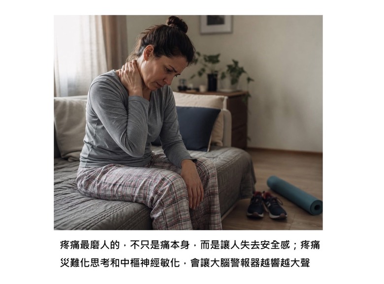 疼痛放大器
