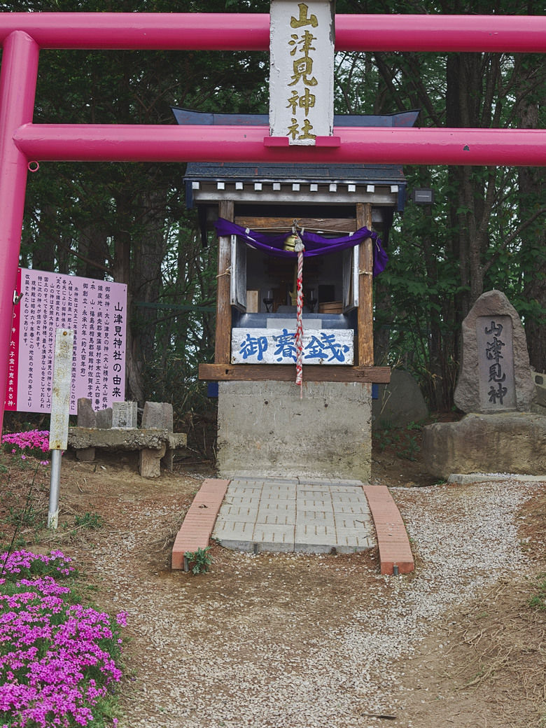 點我看大圖 日本-北海道 五月賞芝櫻&鬱金香 |東藻琴芝櫻|瀧上公園|上湧別町鬱金香