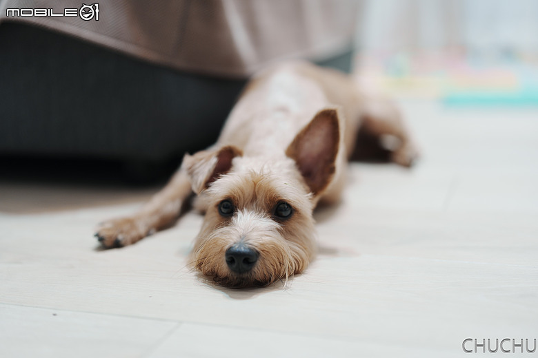 Sony A7C2 與 Sony 50mm f1.4 GM小小心得