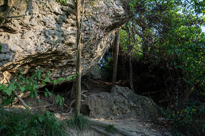 點我看大圖 爬山看護國神山(二)