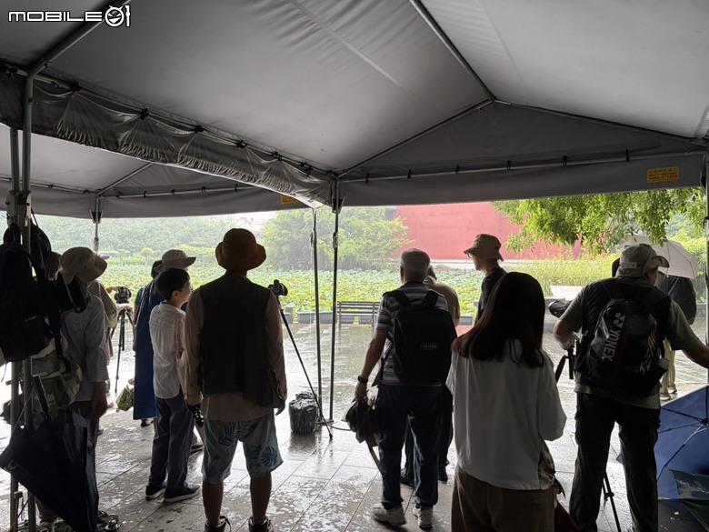 雨中的羽中精靈！ZEISS SFL 30 台北植物園半日賞鳥實記