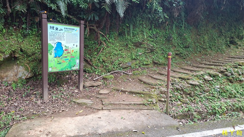 【台灣小百岳】鯉魚潭畔的靜謐午後|健行鯉魚山,飽覽湖光山色