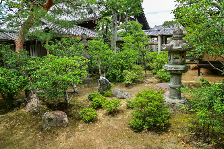 京都市區紫陽花名所採點介紹-藤森神社與智積院