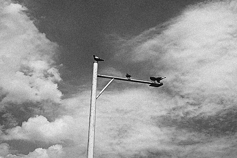 RICOH GR IV Monochrome 評測報告｜以純粹光影、譜寫口袋裡的黑白詩篇！
