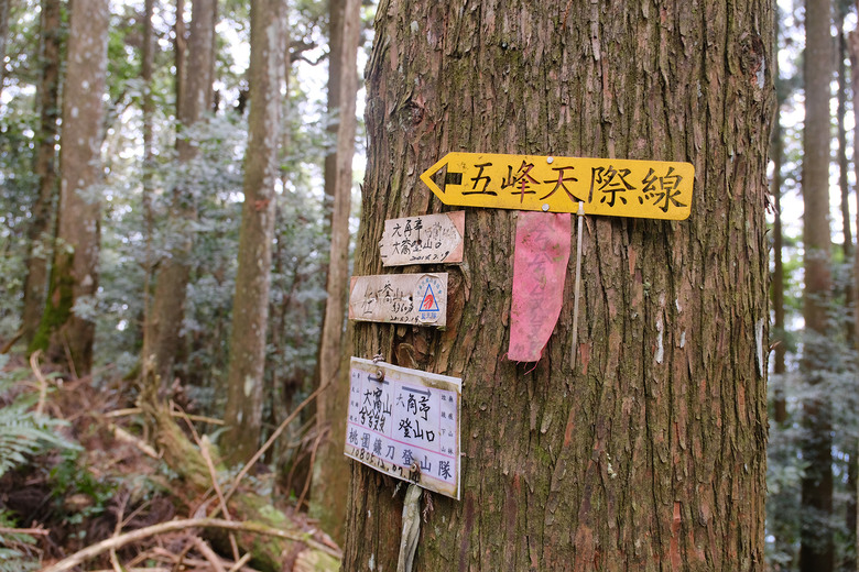 點我看大圖 【比大鳥縱走】隱沒在深山裡的日軍軍營遺址 | 五峰天際線