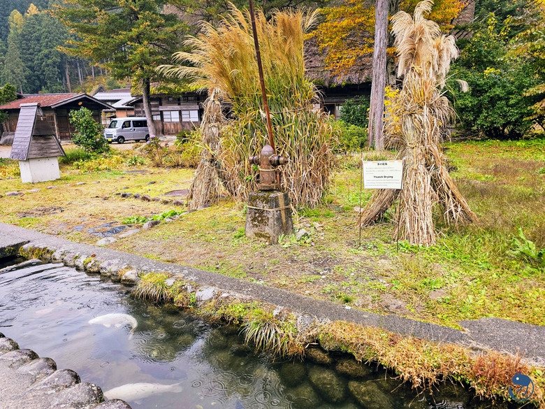 日本-岐阜大野|*暖紅山谷裡的茅葺小屋* 白川鄉合掌村 白川郷合掌造