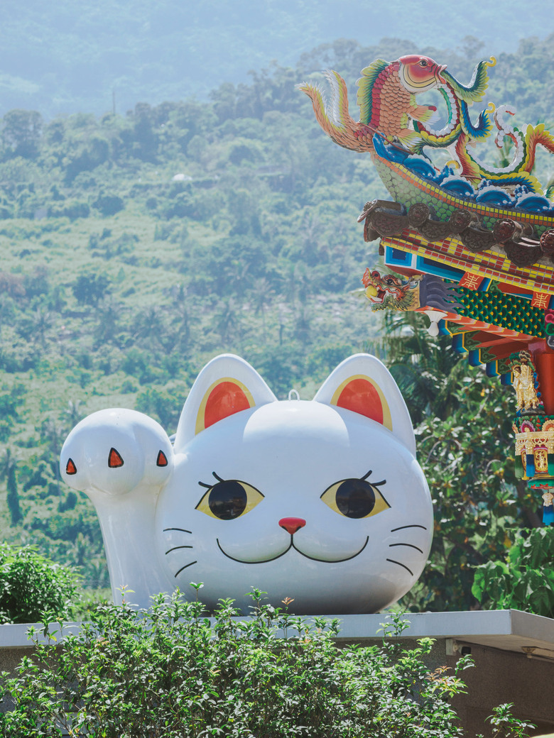 帶著OM3玩台東 (12-100 F4 PRO)