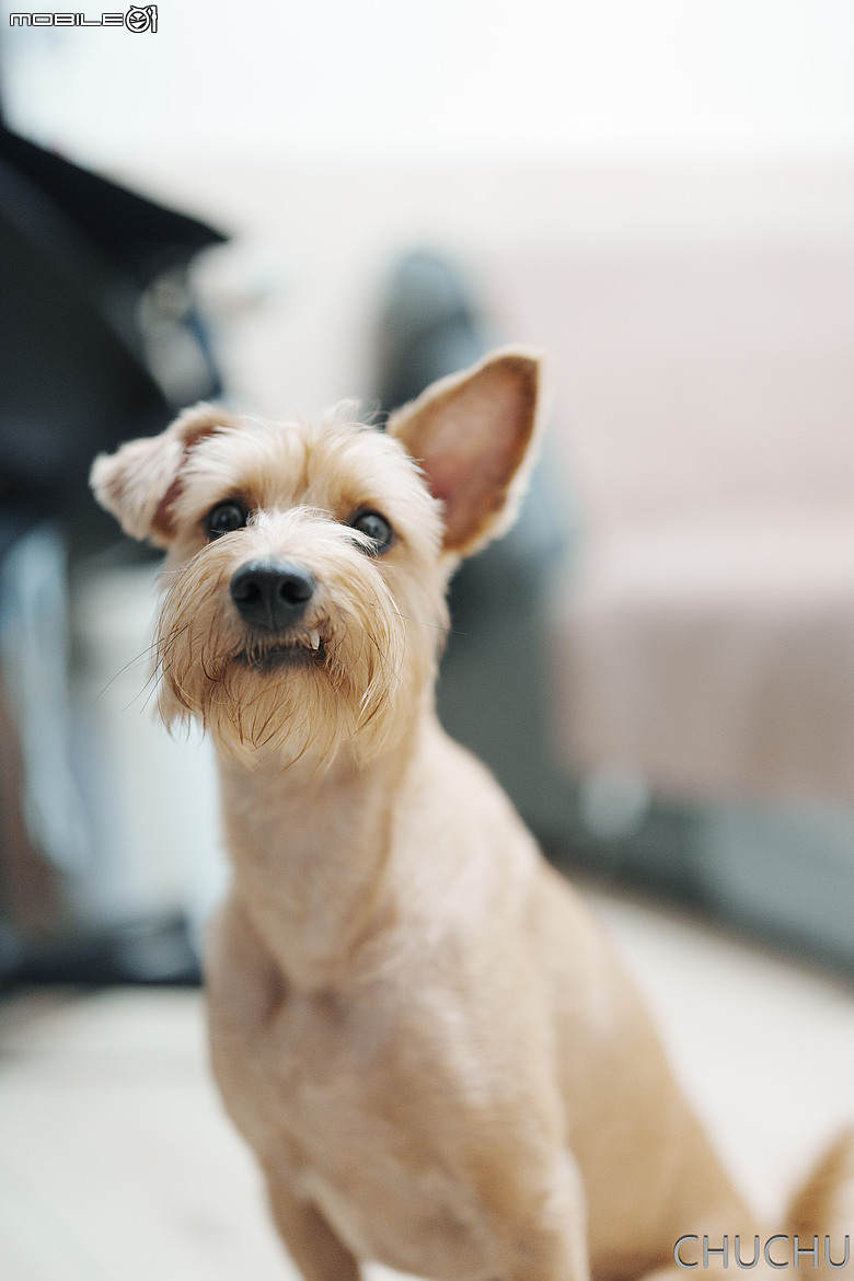 Sony A7C2 與 Sony 50mm f1.4 GM小小心得