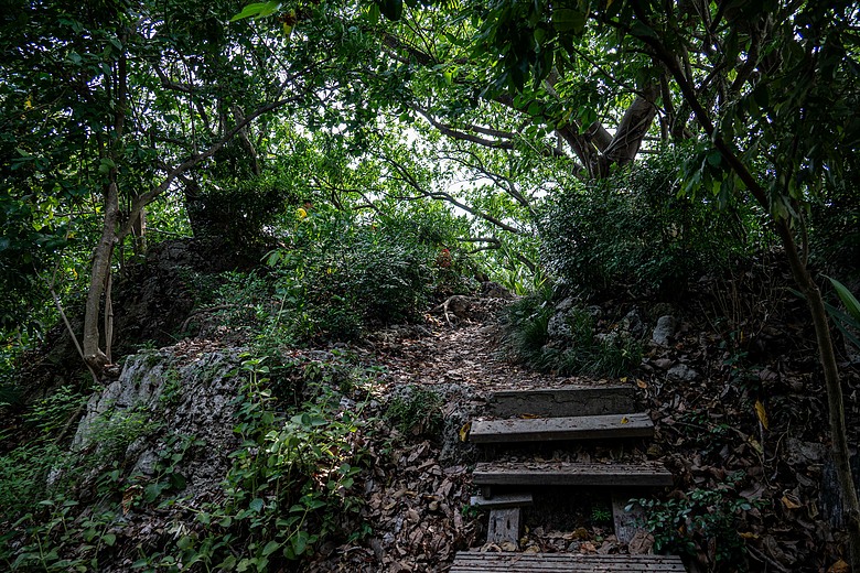 爬山看護國神山(一)