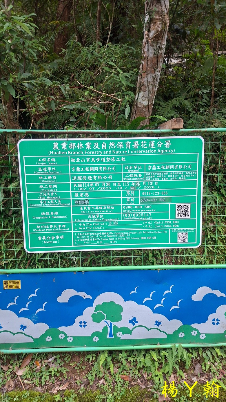 【台灣小百岳】鯉魚潭畔的靜謐午後|健行鯉魚山,飽覽湖光山色