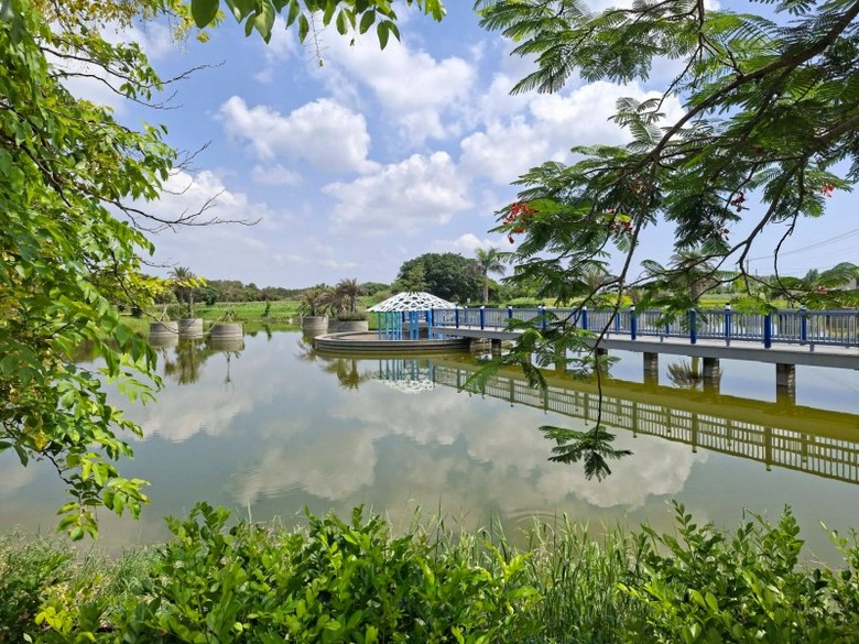 水林私房景點曝光！憨吉祕塘從廢棄埤塘變身夢幻親水公園