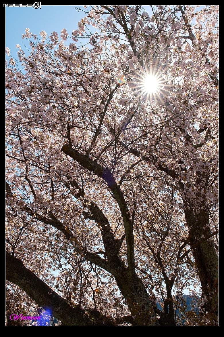 XH2S+Sigma17-40拍+錄心得