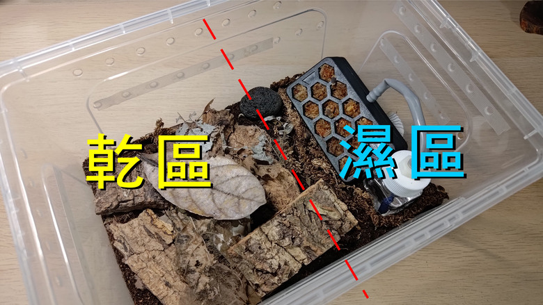[開箱] AQUAHEXX 鼠婦 / 爬蟲專用 水苔自動加濕盒