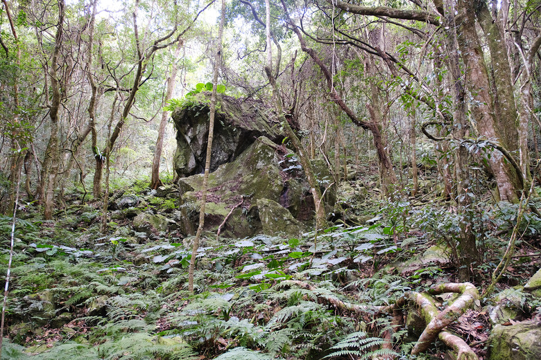點我看大圖 【比大鳥縱走】隱沒在深山裡的日軍軍營遺址 | 五峰天際線