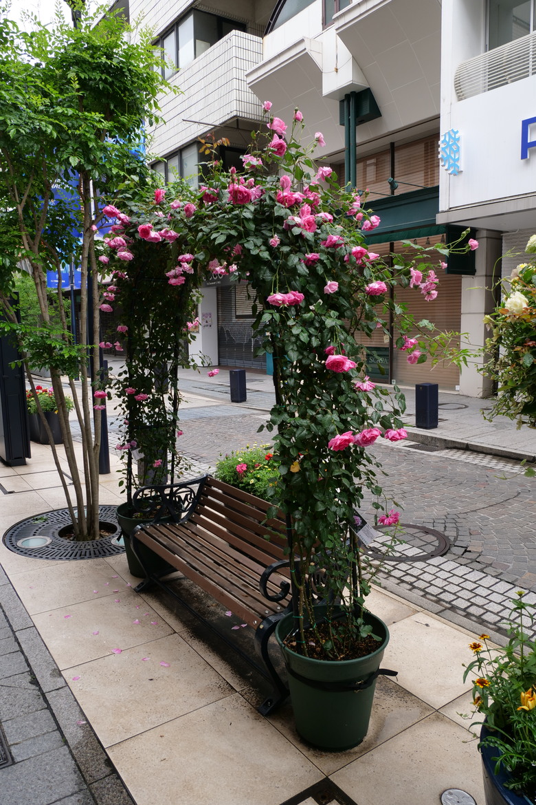 橫濱元町商店街