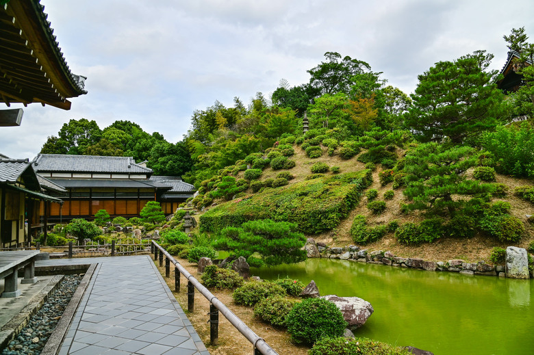 京都市區紫陽花名所採點介紹-藤森神社與智積院