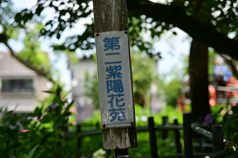 京都市區紫陽花名所採點介紹-藤森神社與智積院