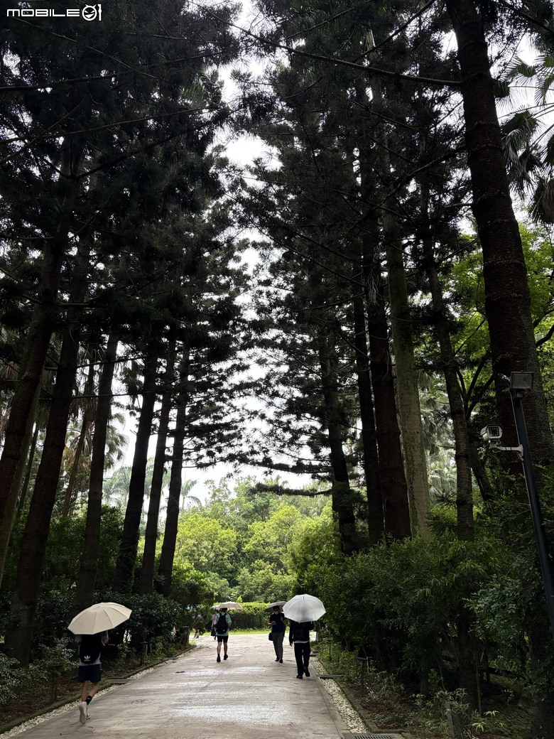 雨中的羽中精靈！ZEISS SFL 30 台北植物園半日賞鳥實記
