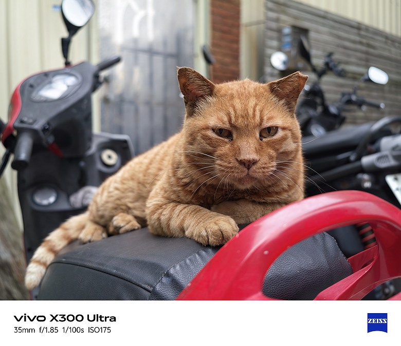 【上篇】vivo X300 Ultra與Gen2 Ultra增距鏡的心得及照片分享