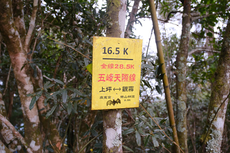 點我看大圖 【比大鳥縱走】隱沒在深山裡的日軍軍營遺址 | 五峰天際線