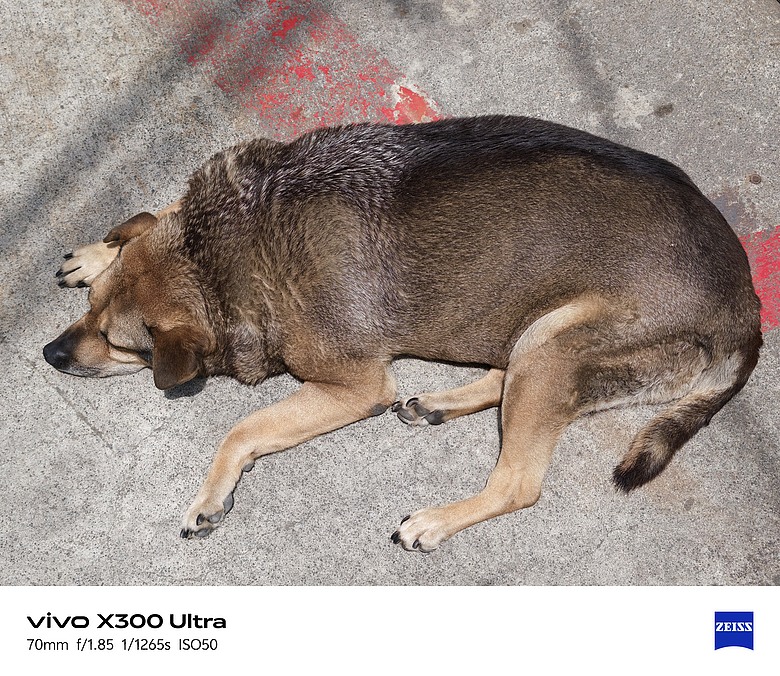 【上篇】vivo X300 Ultra與Gen2 Ultra增距鏡的心得及照片分享