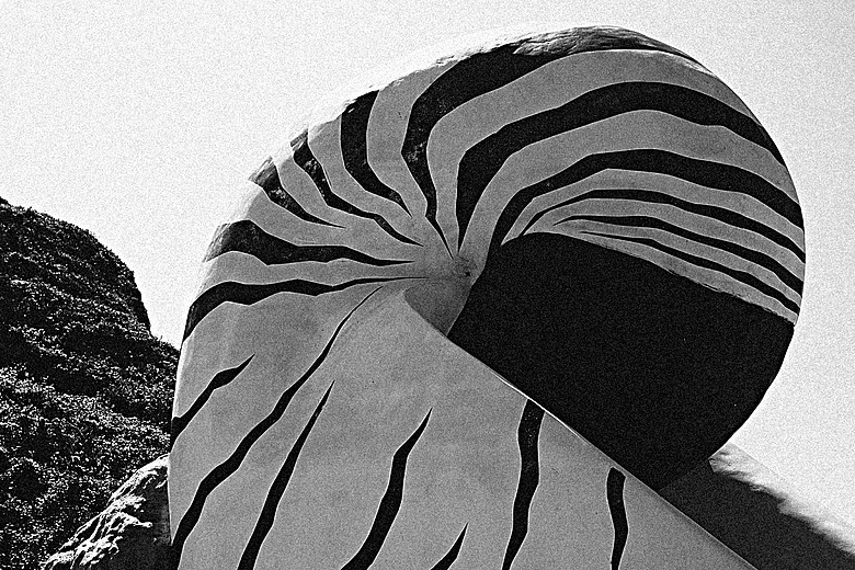 RICOH GR IV Monochrome 評測報告｜以純粹光影、譜寫口袋裡的黑白詩篇！