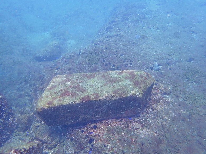 點我看大圖 (映像海洋) 一探油庫口海底花椰菜山丘 in 大坪海岸