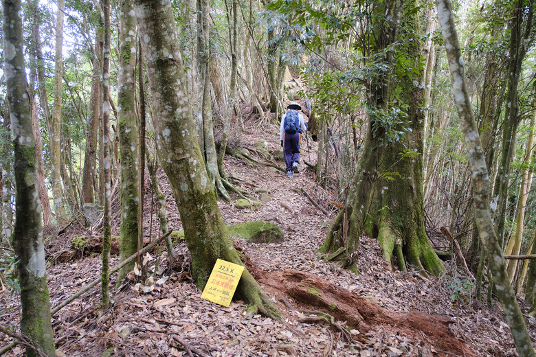 點我看大圖 【比大鳥縱走】隱沒在深山裡的日軍軍營遺址 | 五峰天際線
