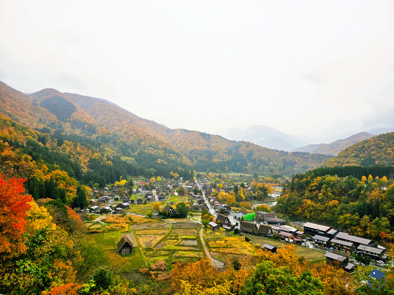 日本-岐阜大野|*暖紅山谷裡的茅葺小屋* 白川鄉合掌村 白川郷合掌造