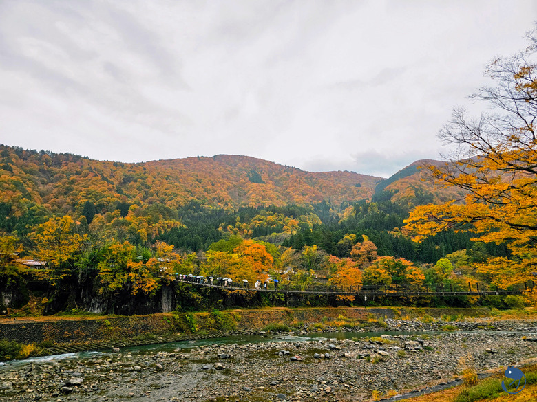 日本-岐阜大野|*暖紅山谷裡的茅葺小屋* 白川鄉合掌村 白川郷合掌造