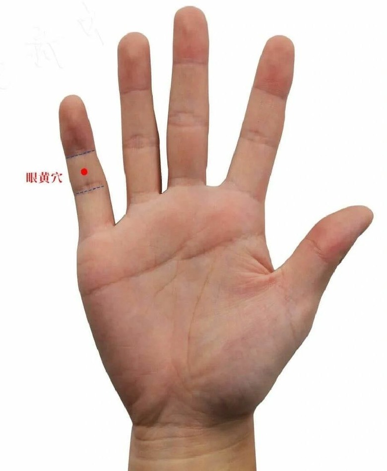 視物模糊 白內障 飛蚊症 穴位