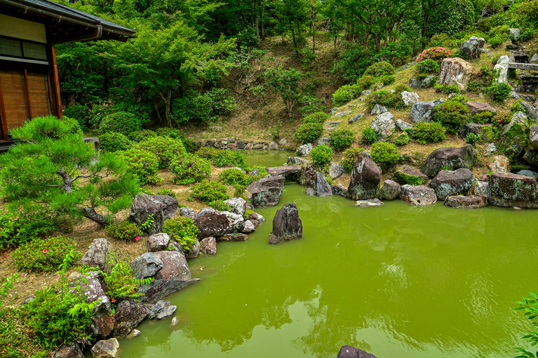 京都市區紫陽花名所採點介紹-藤森神社與智積院