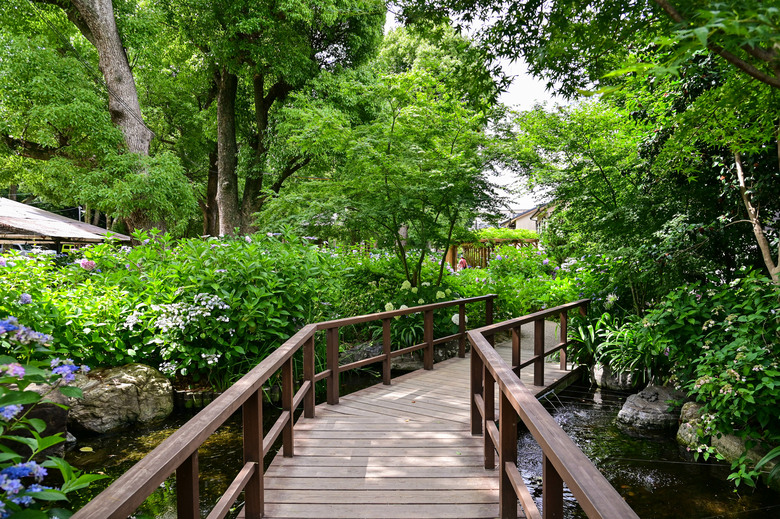 京都市區紫陽花名所採點介紹-藤森神社與智積院