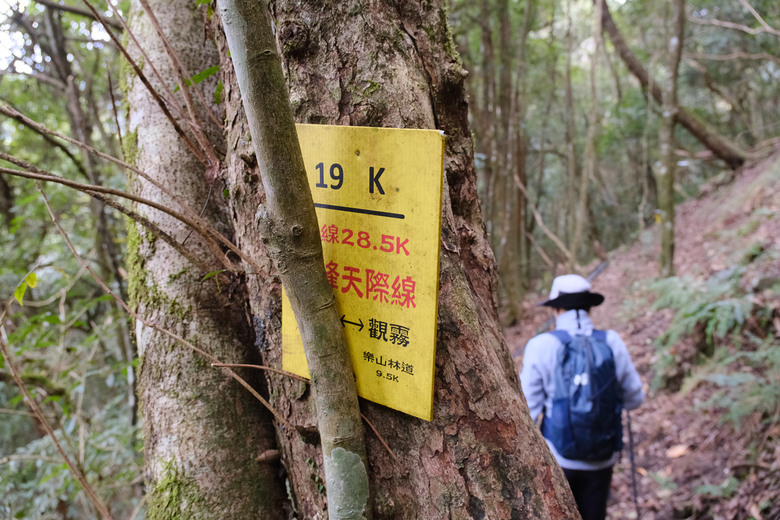 點我看大圖 【比大鳥縱走】隱沒在深山裡的日軍軍營遺址 | 五峰天際線