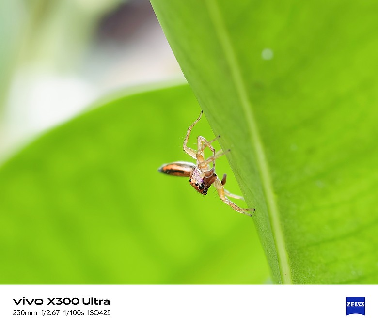 【上篇】vivo X300 Ultra與Gen2 Ultra增距鏡的心得及照片分享