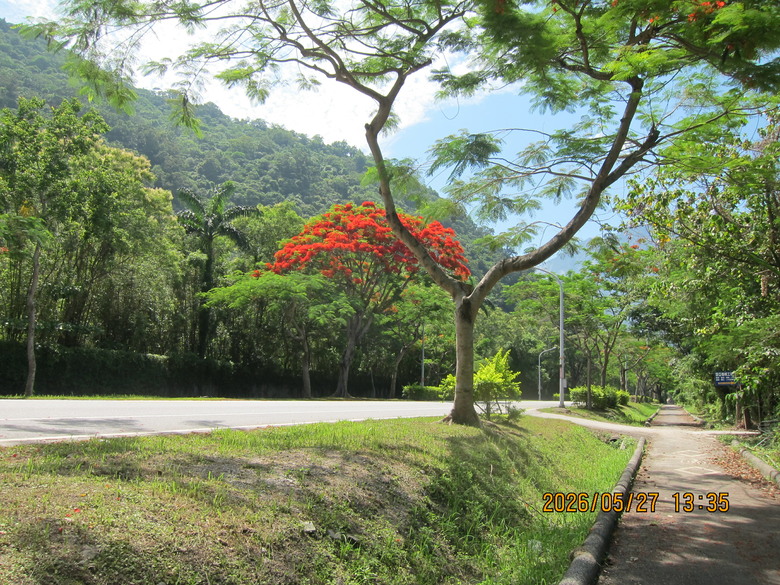 台鐵花東兩日券坐到飽