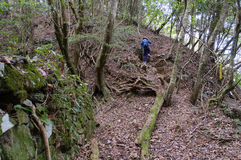 點我看大圖 【比大鳥縱走】隱沒在深山裡的日軍軍營遺址 | 五峰天際線