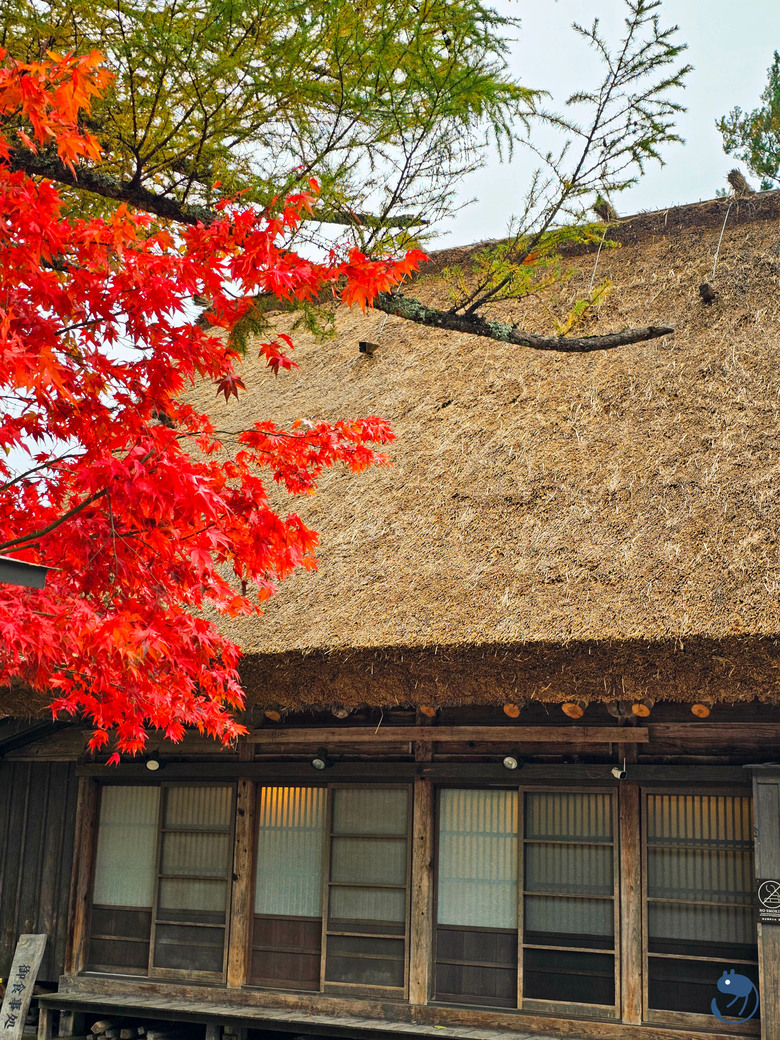 日本-岐阜大野|*暖紅山谷裡的茅葺小屋* 白川鄉合掌村 白川郷合掌造