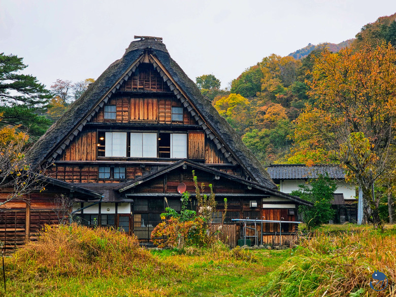 日本-岐阜大野|*暖紅山谷裡的茅葺小屋* 白川鄉合掌村 白川郷合掌造