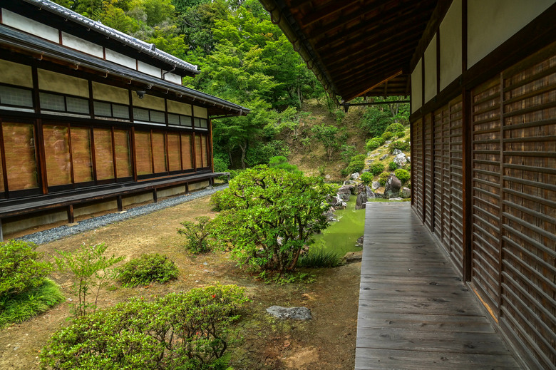 京都市區紫陽花名所採點介紹-藤森神社與智積院