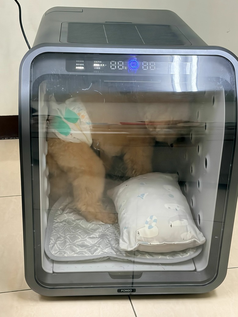 給家中老狗專屬的寵物照護空間