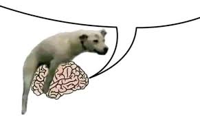 車禍什麼的不重要，鬥毆才是