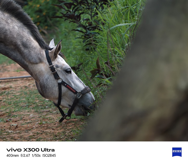 點我看大圖 【下篇】vivo X300 Ultra與Gen2 Ultra增距鏡的心得及照片分享