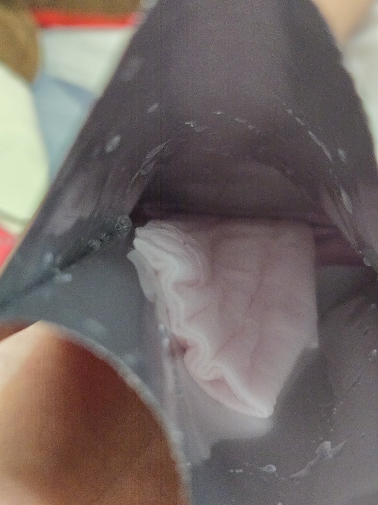 歐美明星都在瘋NAD+？未來美膠原精華與面膜實測紀錄