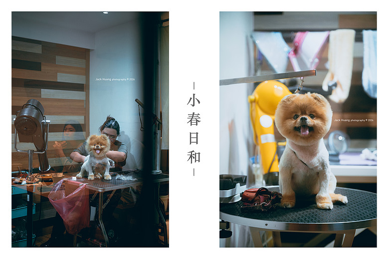 點我看大圖 走進綠意的台北慢時光 - 與貓咪的午後約會丨民生社區