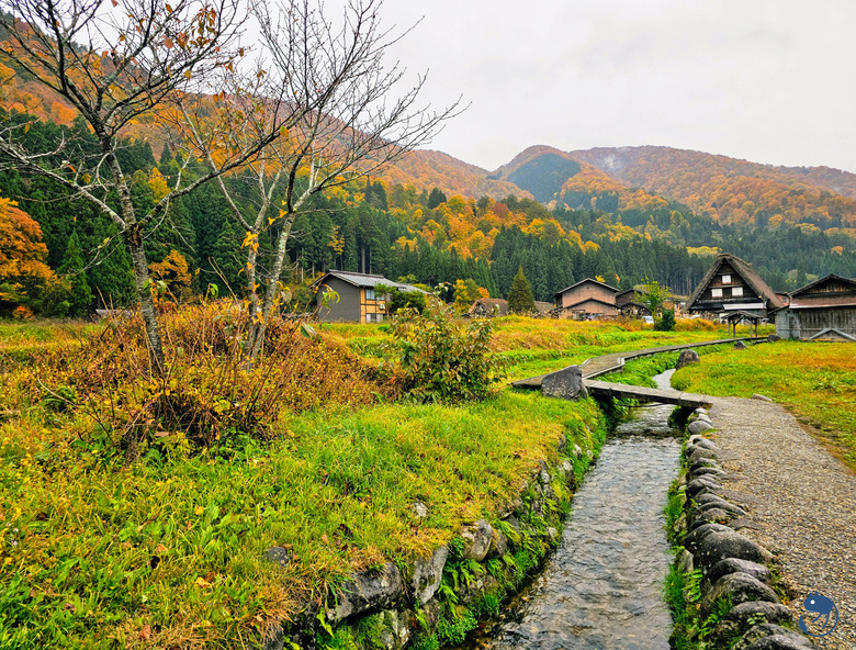 日本-岐阜大野|*暖紅山谷裡的茅葺小屋* 白川鄉合掌村 白川郷合掌造
