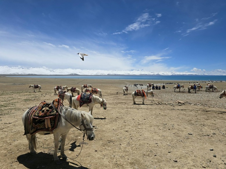 西藏天路之旅,帶著720Armour去旅行
